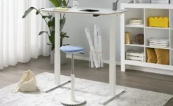 PAIDI Schreibtisch e-lion