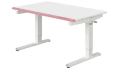 PAIDI Schreibtisch Teenio