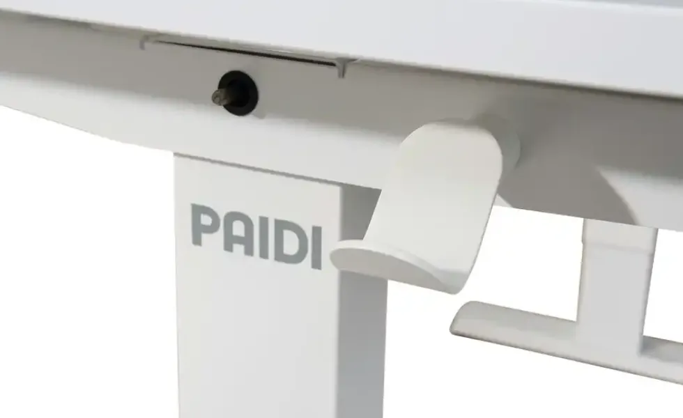 PAIDI Schreibtisch Teenio