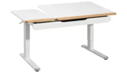 PAIDI Schreibtisch Teenio GT