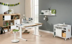 PAIDI Schreibtisch Teenio GT