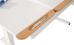 PAIDI Schreibtisch Teenio GT