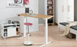 PAIDI Sitz- und Stehhocker Swifty