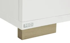 PAIDI Standregal Enie