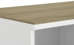 PAIDI Standregal Enie