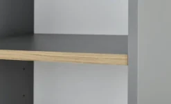 PAIDI Standregal Sten