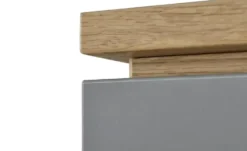 PAIDI Standregal Sten
