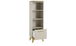 PAIDI Standregal Stiene