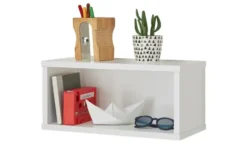 PAIDI Wandbox Kira