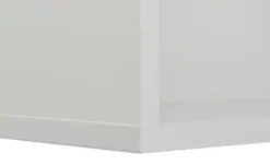 PAIDI Wandbox Kira