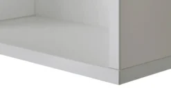 PAIDI Wandbox Kira