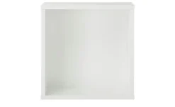PAIDI Wandbox Kira