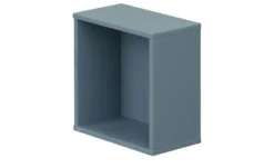 PAIDI Wandbox Olli