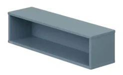PAIDI Wandbox Olli