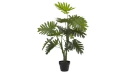 Palme getopft