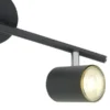 Paul Neuhaus Deckenstrahler, 2-flammig, schwarz