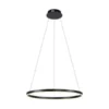 Paul Neuhaus LED Pendelleuchte