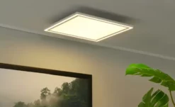 Paul Neuhaus LED-Deckenleuchte, weiß