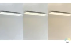 Paul Neuhaus LED-Deckenleuchte weiß