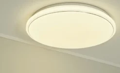 Paul Neuhaus Smart Home-Deckenleuchte, 1-flammig