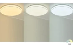 Paul Neuhaus Smart Home-Deckenleuchte, 1-flammig