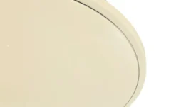 Paul Neuhaus Smart Home-Deckenleuchte, 1-flammig