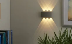 Paul Neuhaus LED-Aussenwandleuchte,6-flammig, silberfarben