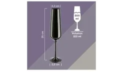 Peill+Putzler Sektkelch 200 ml, 2er Set Las Vegas