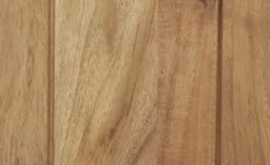 Regal Josha