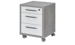 Rollcontainer Donau