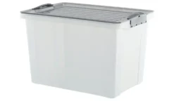 Rotho Aufbewahrungsbox