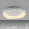 SCHÖNER WOHNEN Kollektion Deckenleuchte