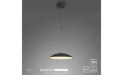 SCHÖNER WOHNEN Kollektion Pendelleuchte