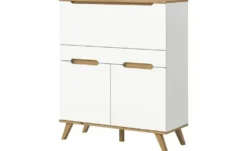 Sekretär Torso