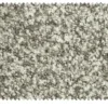 Sessel Salanee