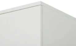 smart Mehrzweckhochschrank BEN