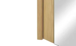Spiegelschrank