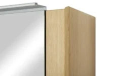 Spiegelschrank