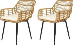 Stuhl 2er-Set Hanoi