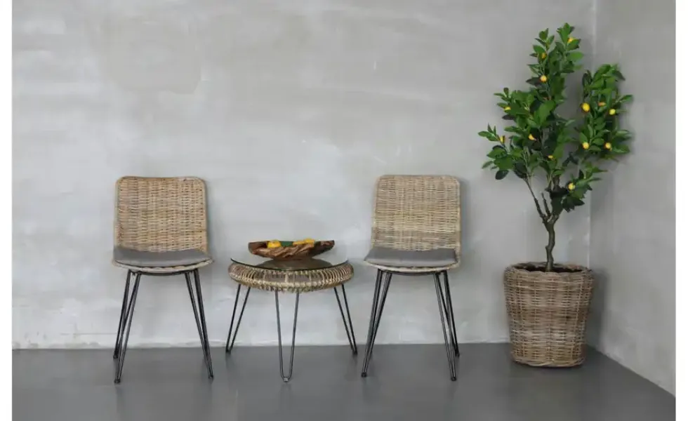 Stuhl 2er-Set Penang