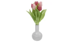 Tulpenbund
