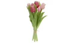 Tulpenbund