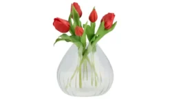 Tulpenbund