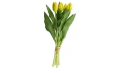Tulpenbund 5fach
