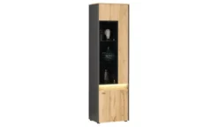 Vitrine Light Line 10