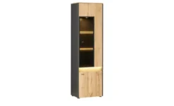 Vitrine Light Line 10