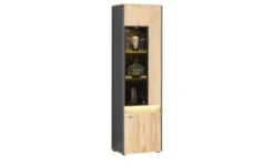 Vitrine Light Line 10