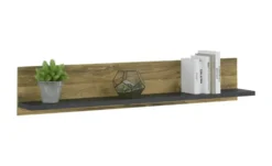 Wandboard Ledro