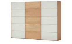 Woodford Schwebetürenschrank Kyran