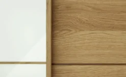 Woodford Schwebetürenschrank Kyran